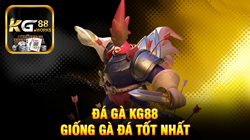 Gà Chiến và Giống Gà Đá Tốt Nhất Trong Đá Gà KG88