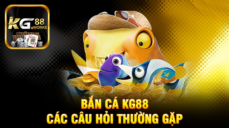 Các câu hỏi thường gặp (FAQ)
